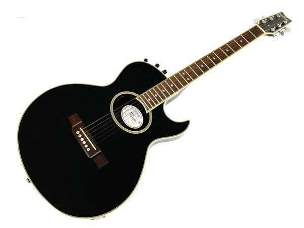 Washburn SBF-80 ヌーノ・ベッテンコート モデル エレアコギター