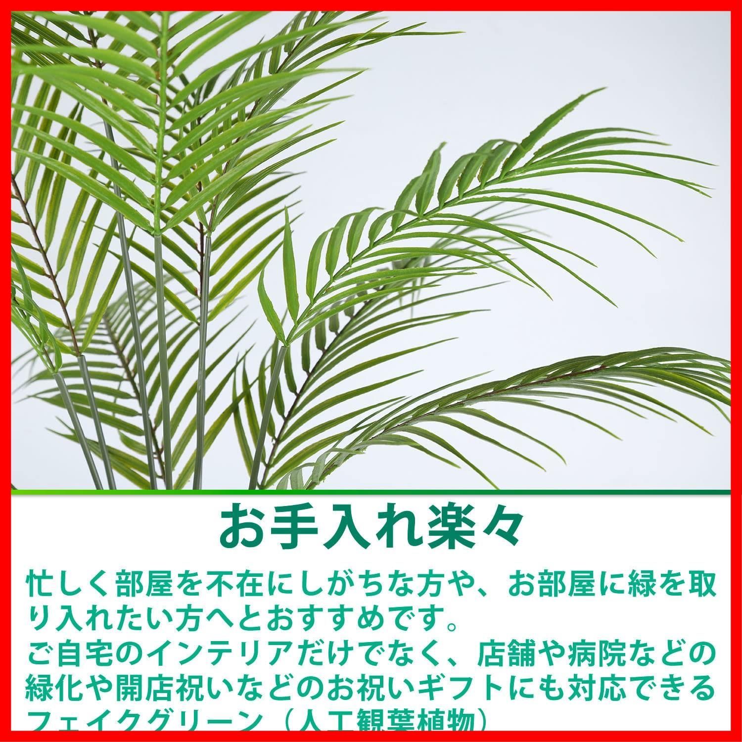 観葉樹