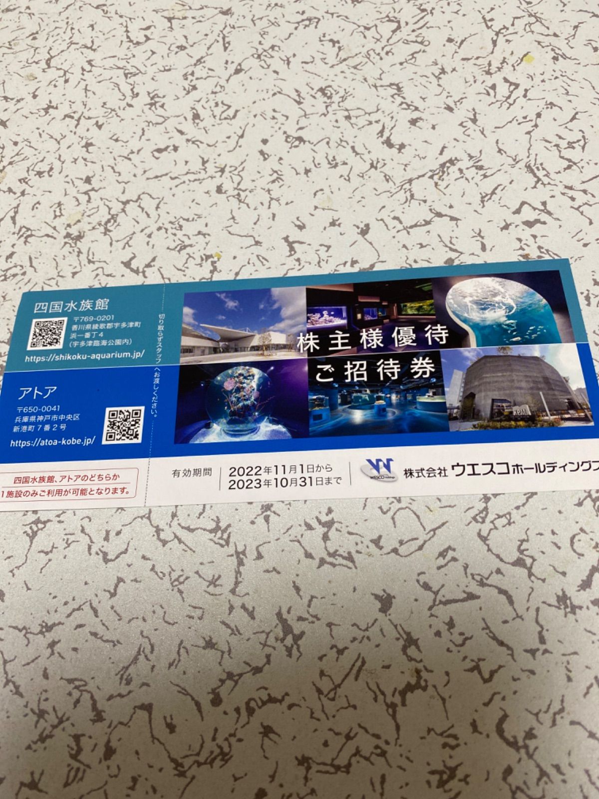 atoa アトア AQUARIUM×ART 入場引換券 大人2枚 - 水族館