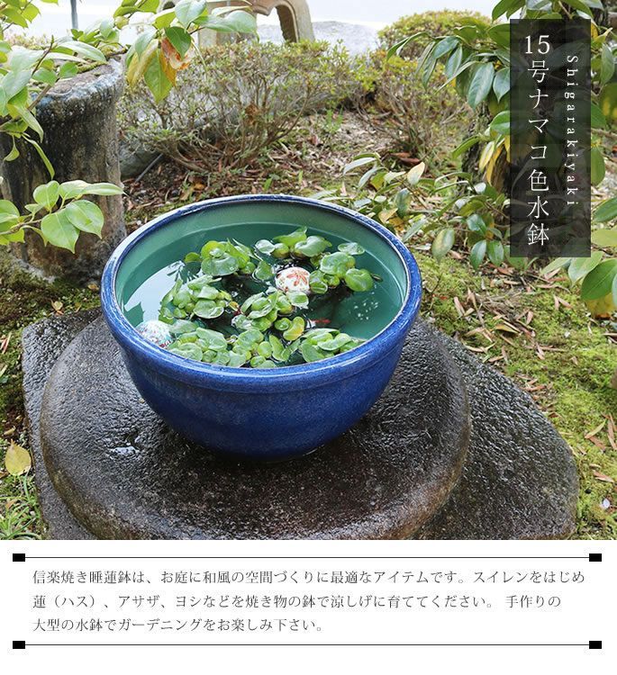 信楽焼 陶器 水鉢 メダカ鉢 金魚鉢 睡蓮鉢 15号ナマコ色水鉢 su-0255