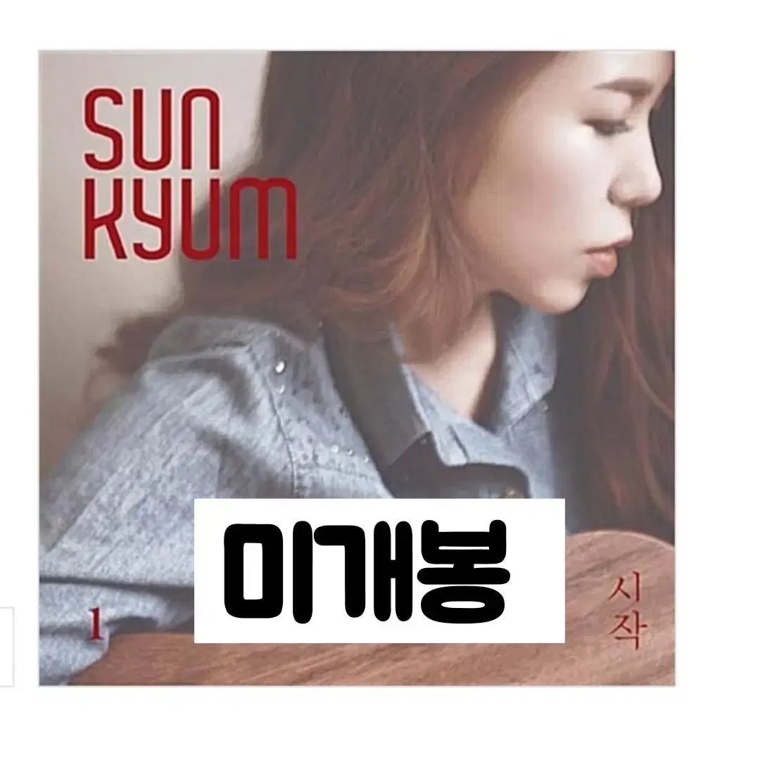 ソンギョム SunKyum ） ー 1 家 起動 （ The Beginning CD