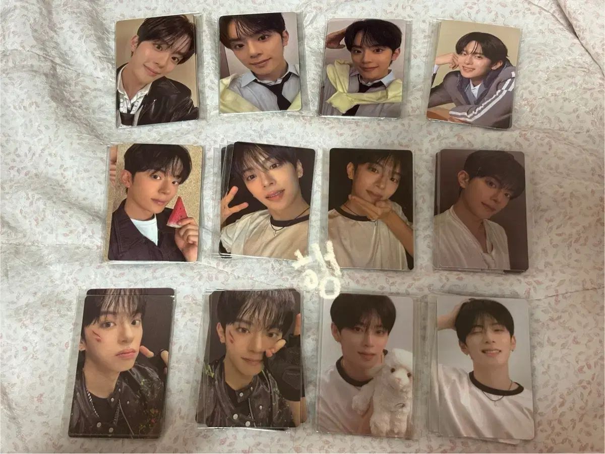 ボイプラ 2 POPUPアーカイブ展 韓国 トレカ 11枚セット ハヌム③ ボイプラ 2 POPUPアーカイブ展 韓国 トレカ 11枚セット ハヌム