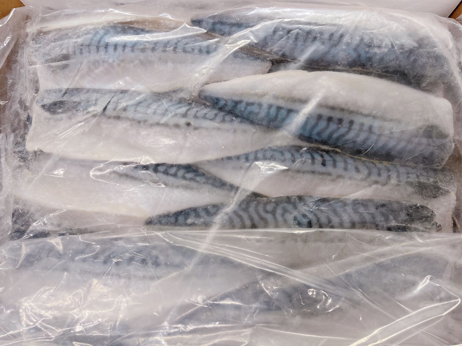 【新発売】塩サバフィレ2kg  冷凍 魚