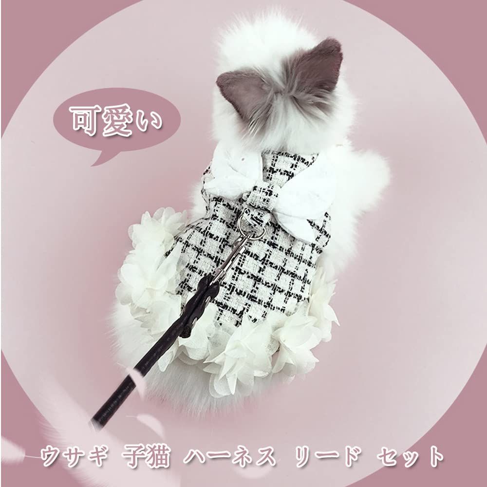 小動物 うさぎ服