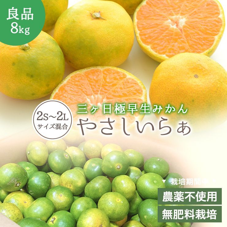 栽培期間中農薬不使用 無肥料 三ヶ日 早生 みかん 8kg 無農薬 位田 みかん園 やさしいらぁ 2S ～ 2L サイズ不揃い 自然栽培 三ヶ日みかん みかん 産地直送 農家直送 ミカン 蜜柑 8キロ 静岡県 小粒 小玉 大粒