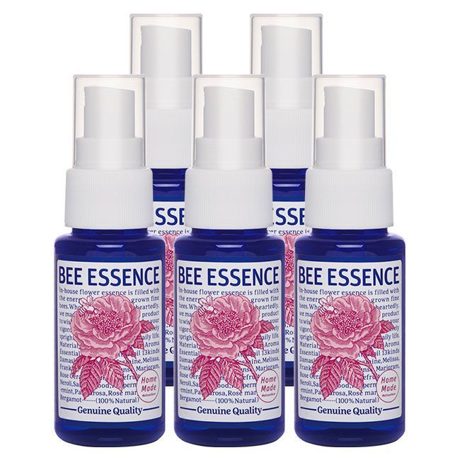 タカミ ブライダルインナー 64 E70 収納袋・トートバッグ付き