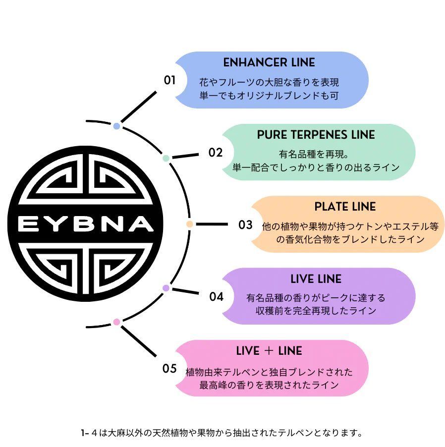 Eybna イブナ 香料 CBD CBN CBG 10ml アフリカンマンゴー 【公式通販】