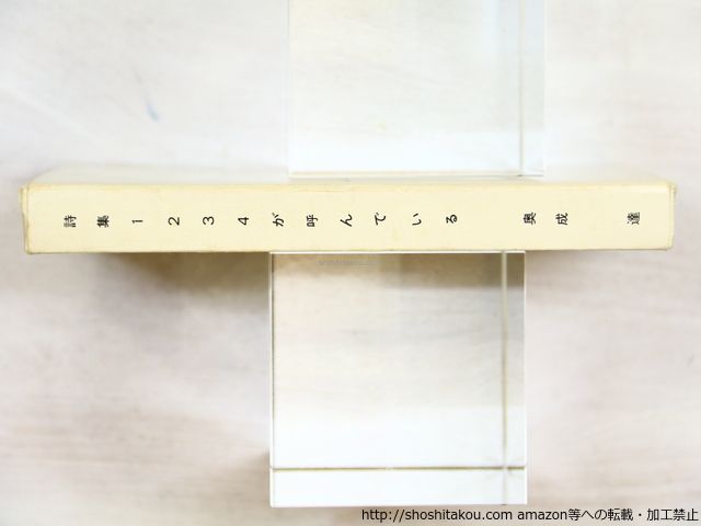 詩集 1234が呼んでいる 署名入/奥成達/TBデザイン研究所*