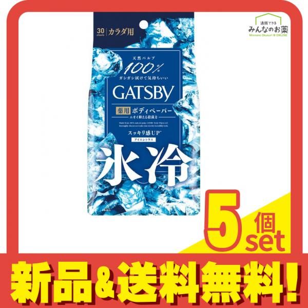 ギャツビー アイスデオドラント ボディペーパー アイスシトラス 徳用タイプ 30枚入 5個セット まとめ売り