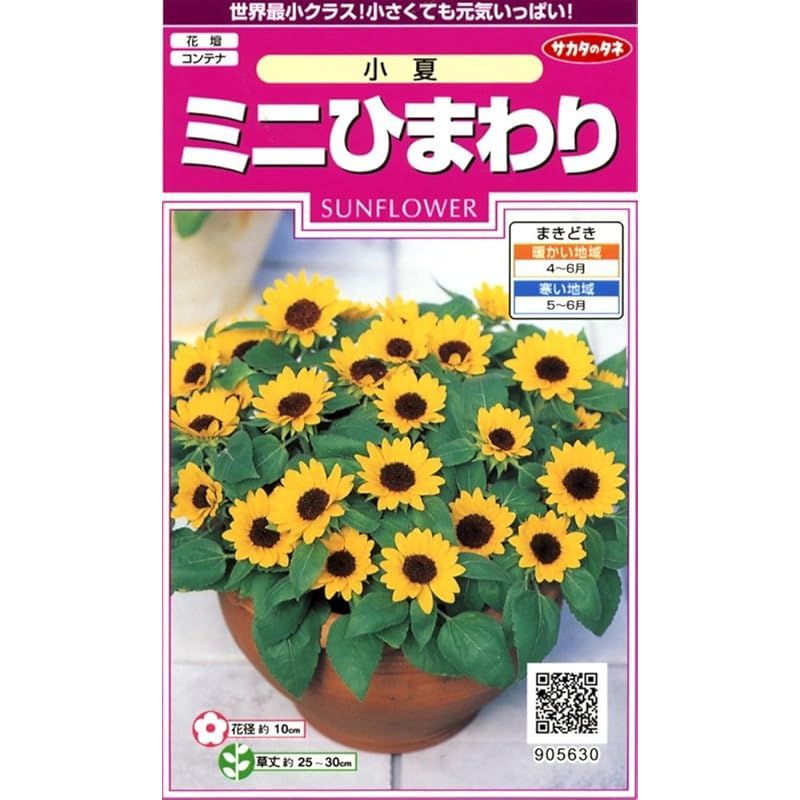 サカタのタネ 実咲花5630 ミニひまわり 小夏 00905630 - メルカリ