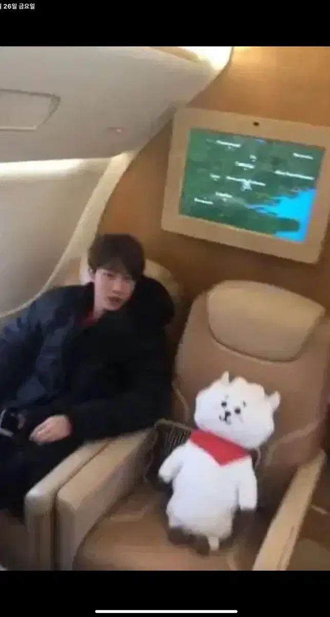 RJ rj BTS 防弾少年団 バンタン ジン JIN ソクジン ジャンボドール