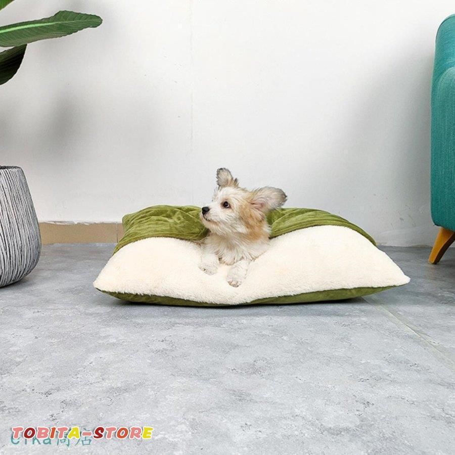 犬 猫