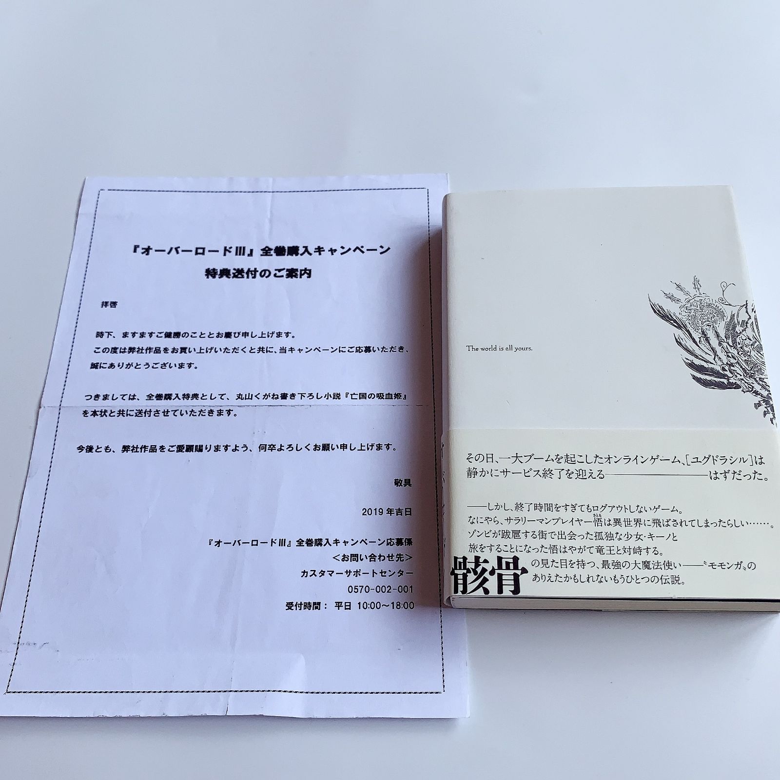 即購入ok！！ オーバーロードⅢ 全巻購入特典小説 亡国の吸血姫 オーバーロードⅢ 全巻購入特典小説 亡国の吸血姫 - メルカリ