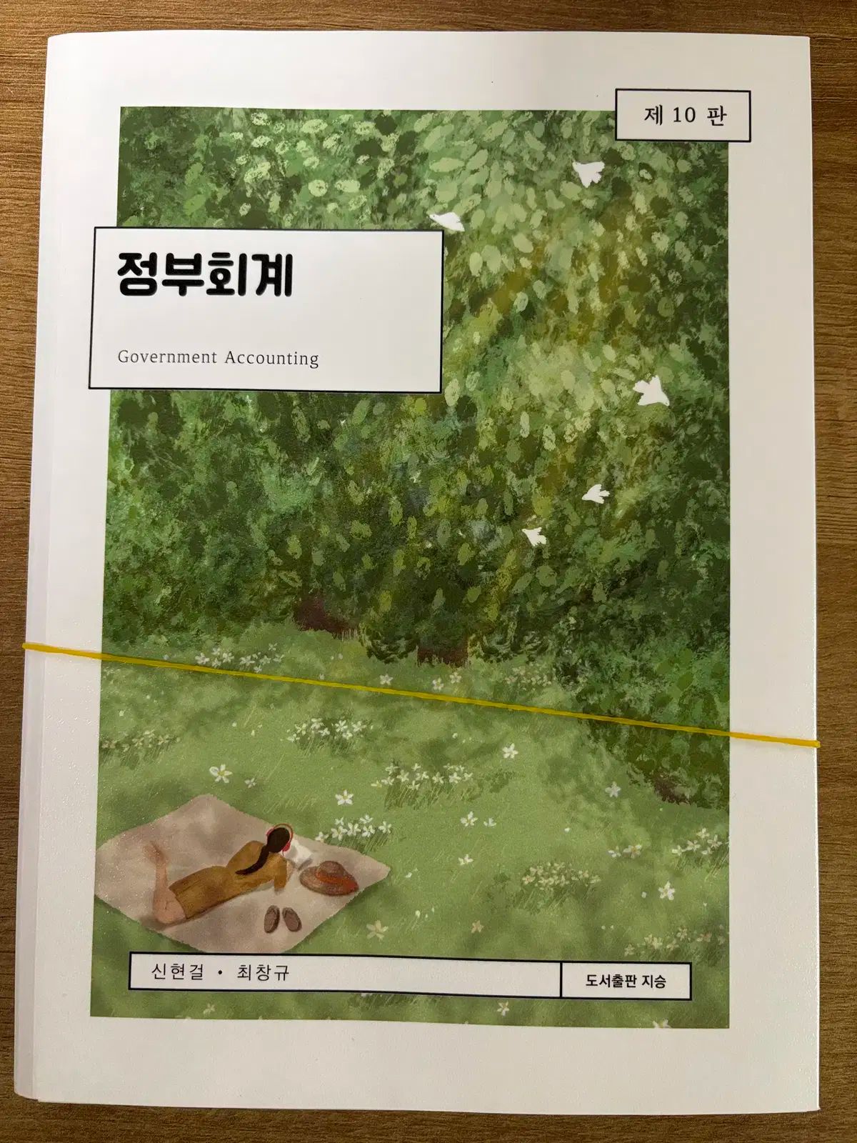 ナムアカデミー 政府会計 ぼくの 10 プラーク シン・ヒョン・ガール/チェ・チャンギュ (スキャン 裁断処理