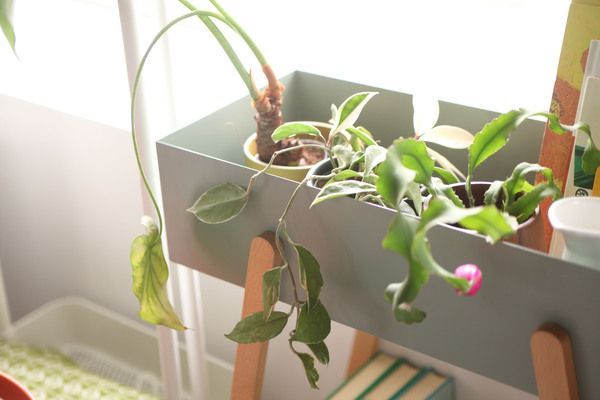 室内 屋外