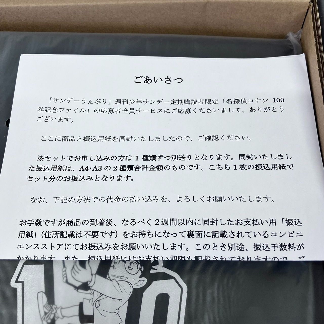 名探偵コナン 100巻記念ファイル 2個 まとめ セット / サンデーうぇぶり 定期購読者限定 A3 A4 金 銀 - メルカリ