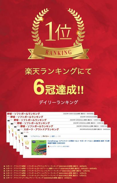 種類10 シルバー エンジ CoreEnergy コアエナジー3 野球 ベルト サポーターベルト 体幹 プロ野球選手推薦 CGB 0300