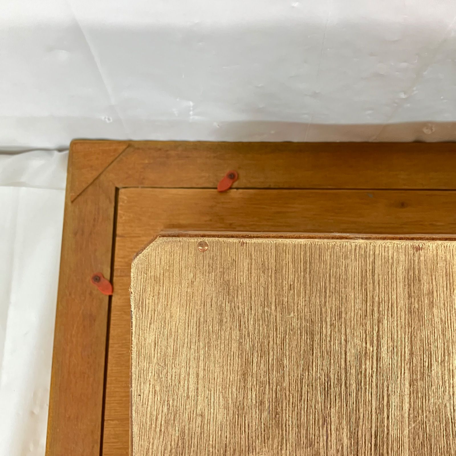 額装標本 ニシキエビ 錦海老 伊勢海老 えび 剥製 壁掛け オブジェ インテリア WWW_NOITHATQUANGTHANH_NET