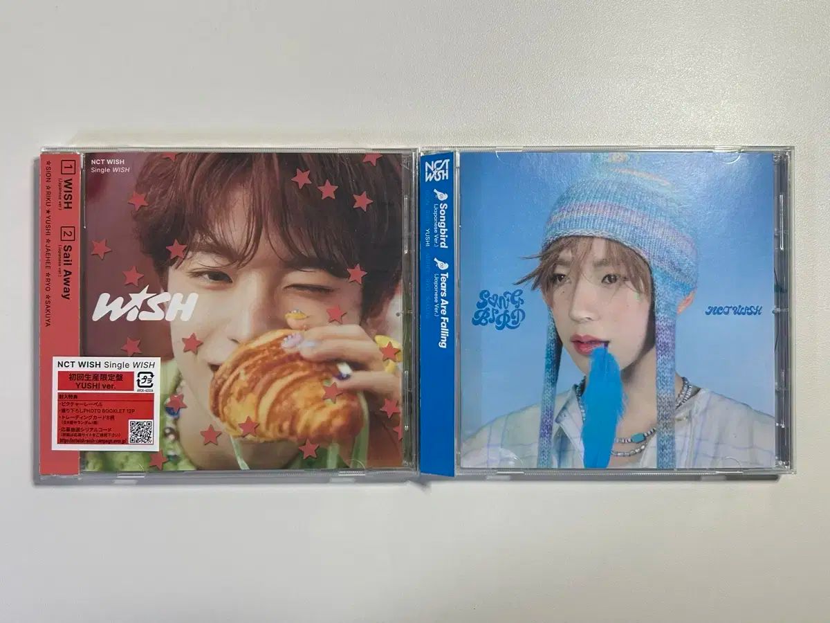 エンシティウィッシュ ゆう市 WIND AND WISH 鳴き鳥 個人盤 日本版