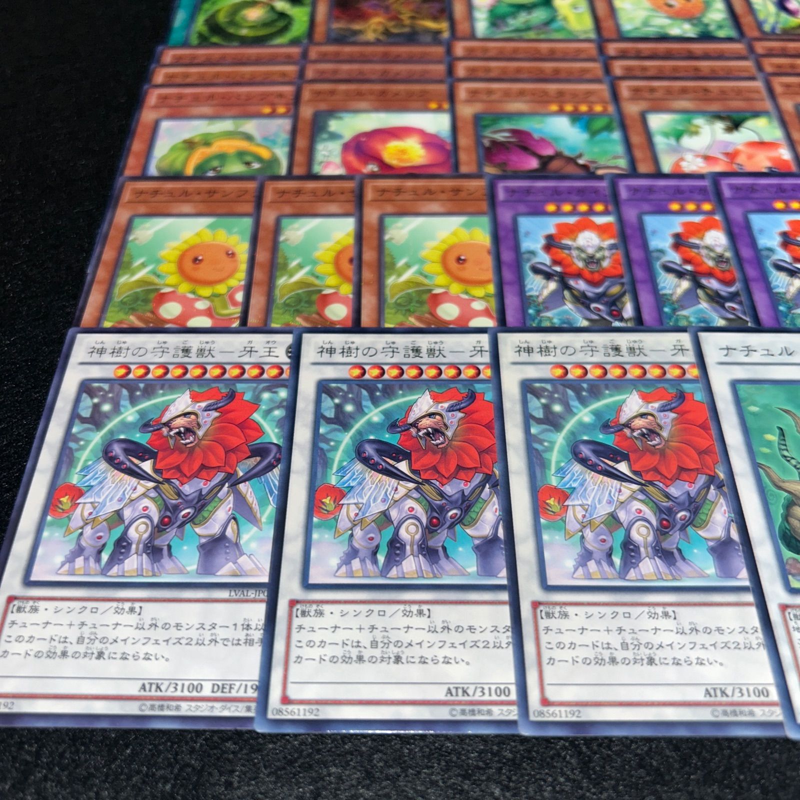 No.PP14 遊戯王 ナチュル デッキパーツ 構築用 ナチュルビースト