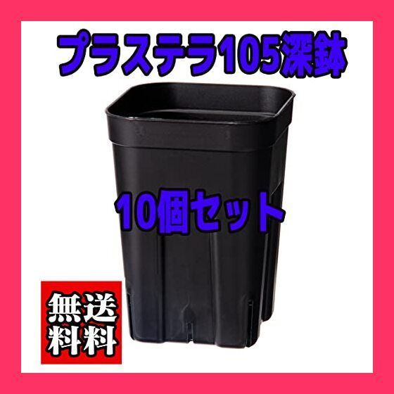 スタッフおすすめ！】【10個セット】【プレステラ105深鉢