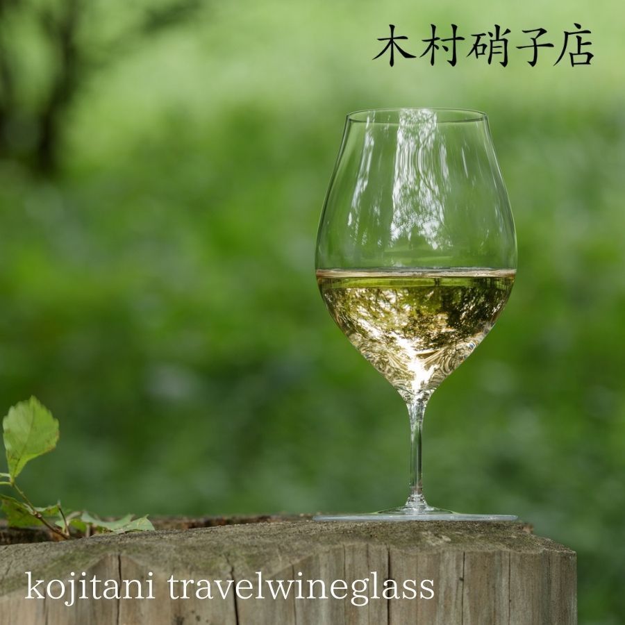木村硝子店 麹谷宏 kojitani travelwineglass - 食器高価