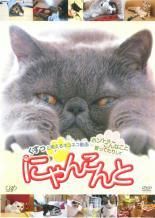 中古】 にゃんこんと ホントはこんなこと言ってたりして（2巻