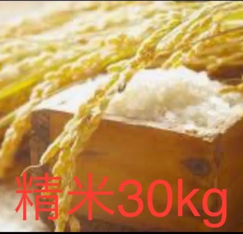 令和5年産 三重県伊賀市産コシヒカリ 30㎏ 無洗米 (送料 精米料 消費税込) 【公式通販】 三重産 コシヒカリ　30㎏　伊賀米