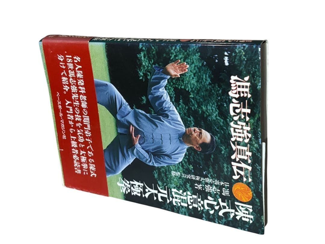 陳式心意混元太極拳: 馮志強真伝