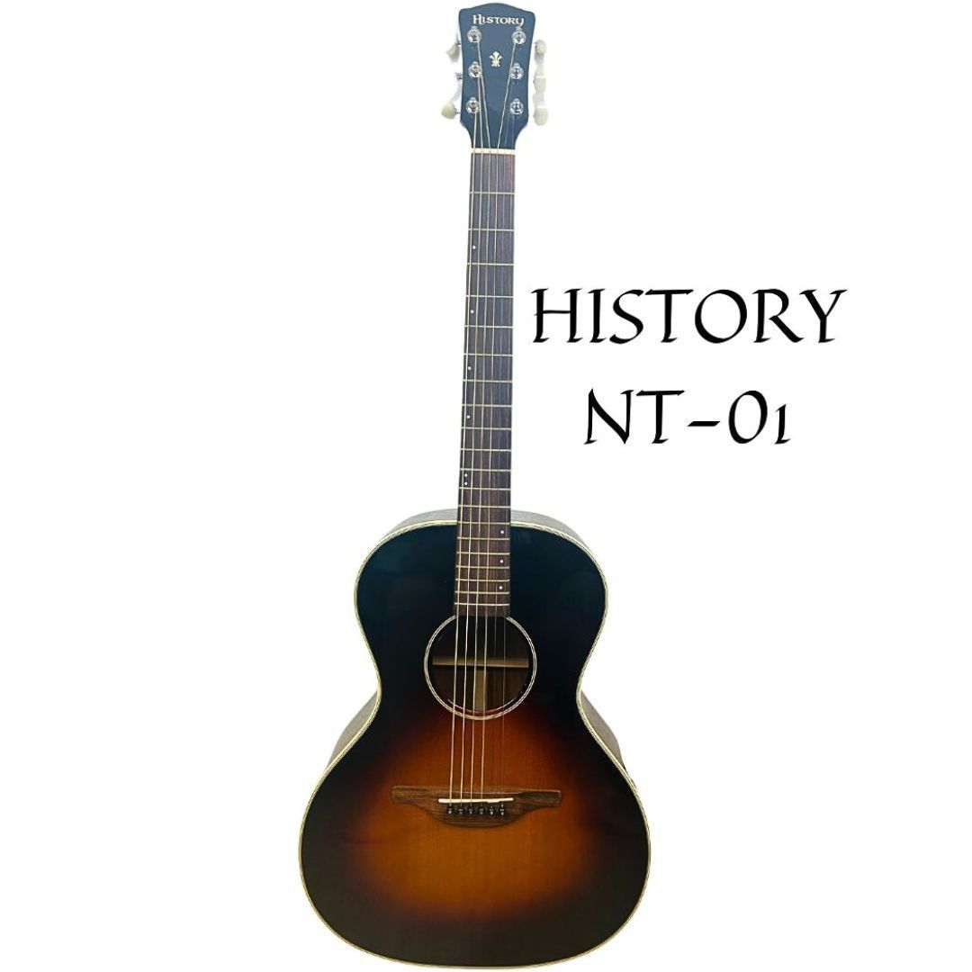 HISTORY NT-01 アコースティックギター ハードケース付