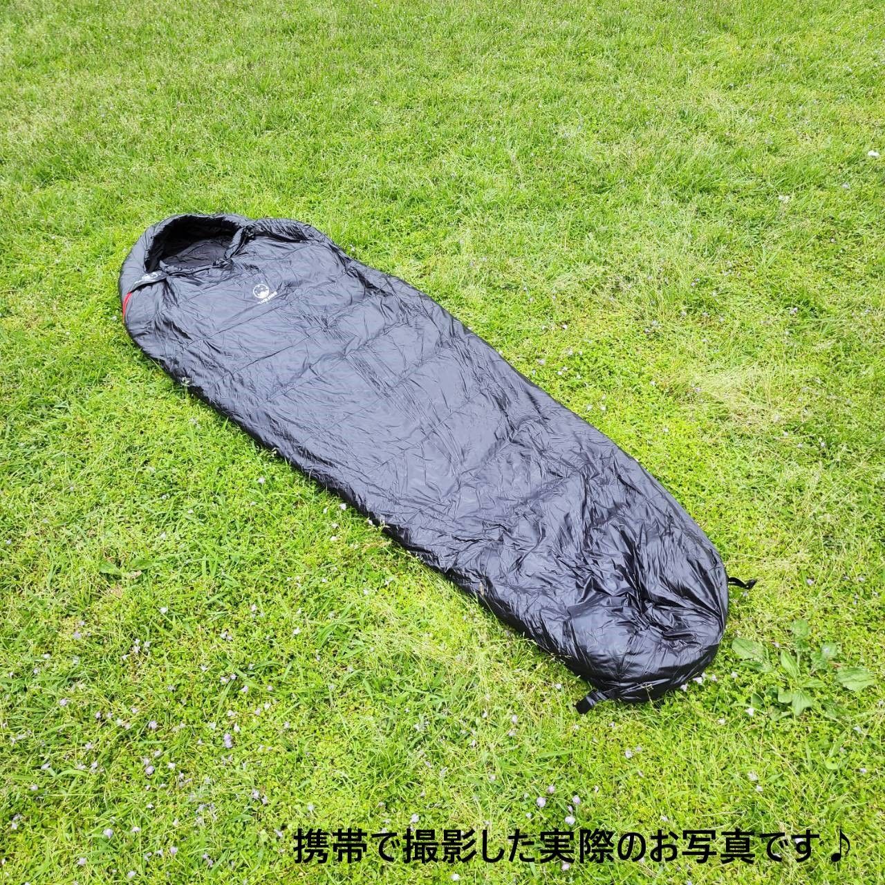マミー型