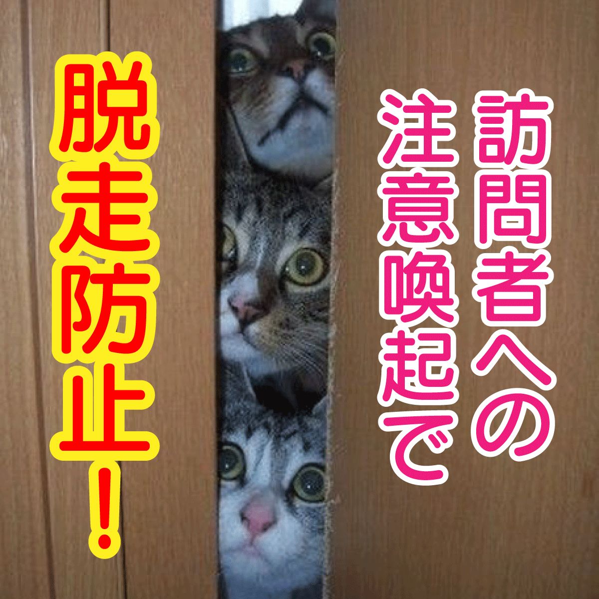猫のひたいほどワイド グッズ デジタルメッセージ入りステッカー 6779-501-