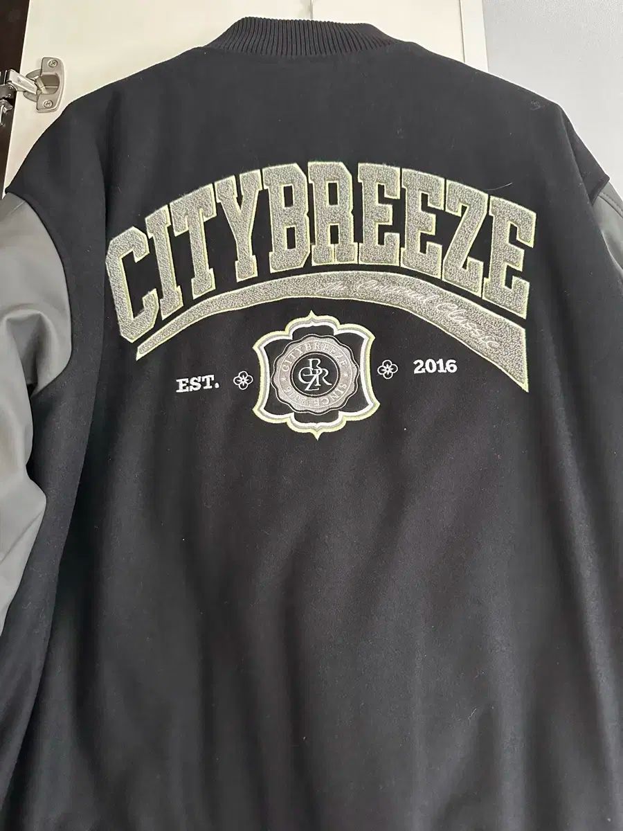 CITYBREEZE シティーブリーズ バーシティ ジャケット L NCT ドヨン 着用