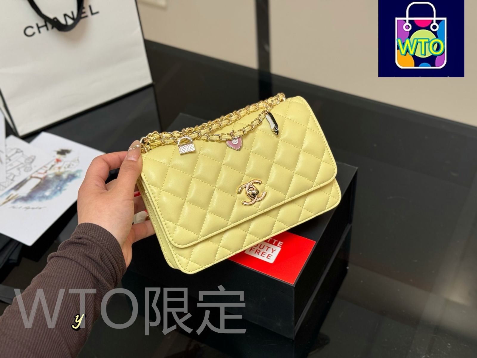 レア限定デザイン♡【CHANEL】24A チェーンウォレット 今日特価】Chanel 24A WOC Wallet On Chain Bag - 24A