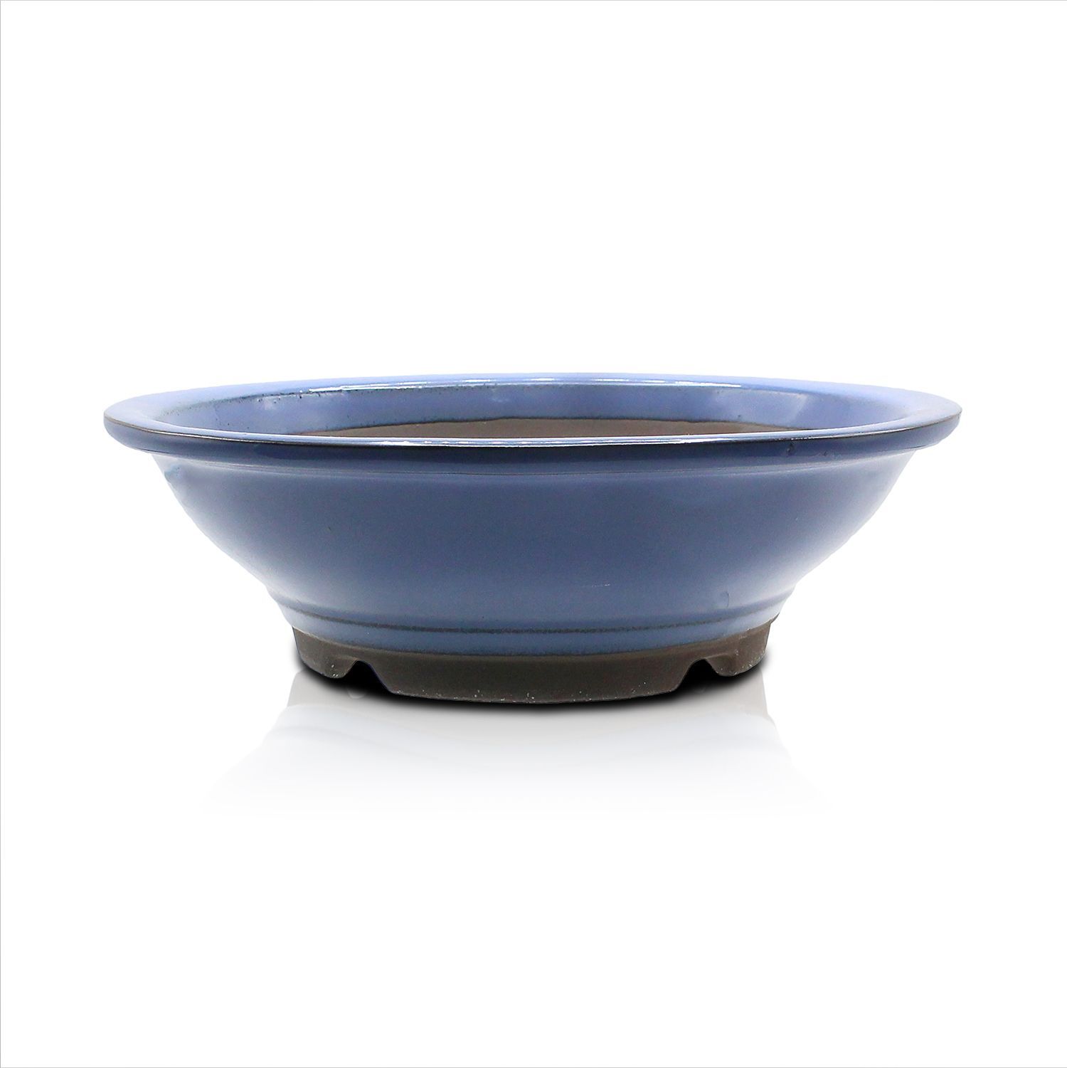 【lb88888】様 大明万暦年製　お皿　８枚組 美濃焼】錦萬壽8寸皿 直径23．2cm×高さ4．1cm