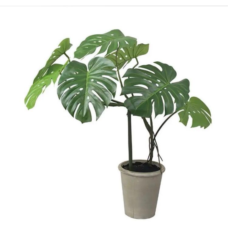 光触媒　人工観葉植物　フェイクグリーン　モンステラポットＮＧＲ 光触媒 人工観葉植物 フェイクグリーン モンステラポットNGR'.wt