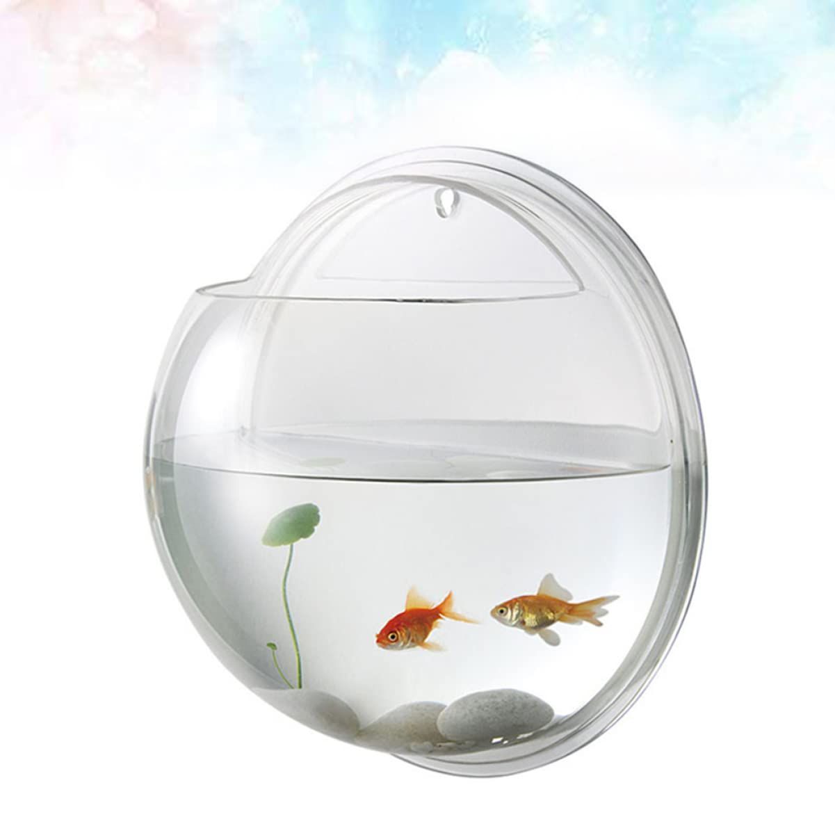 金魚鉢- 壁掛けアクリル