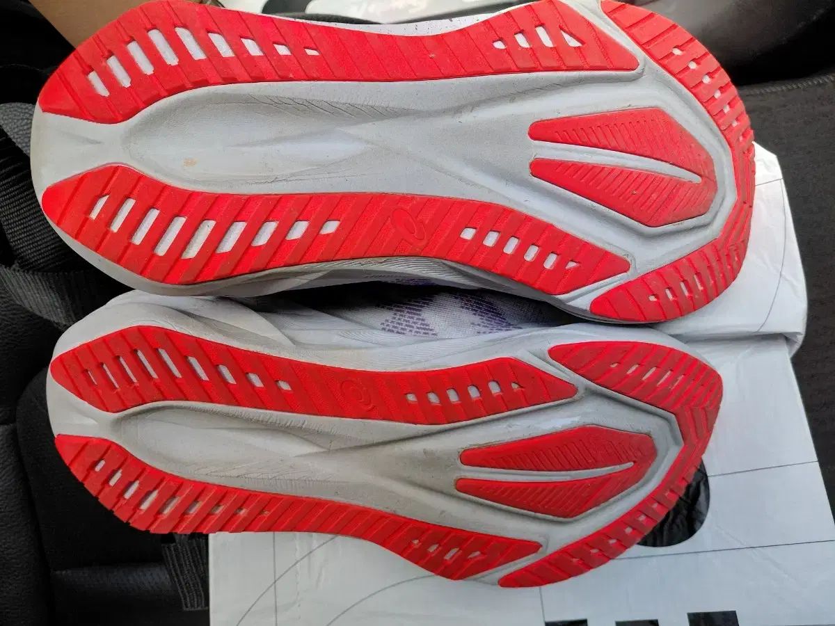 アシックス ノヴァブラスト5 約5回着用 260mm