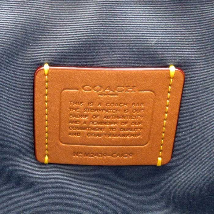 CAK29