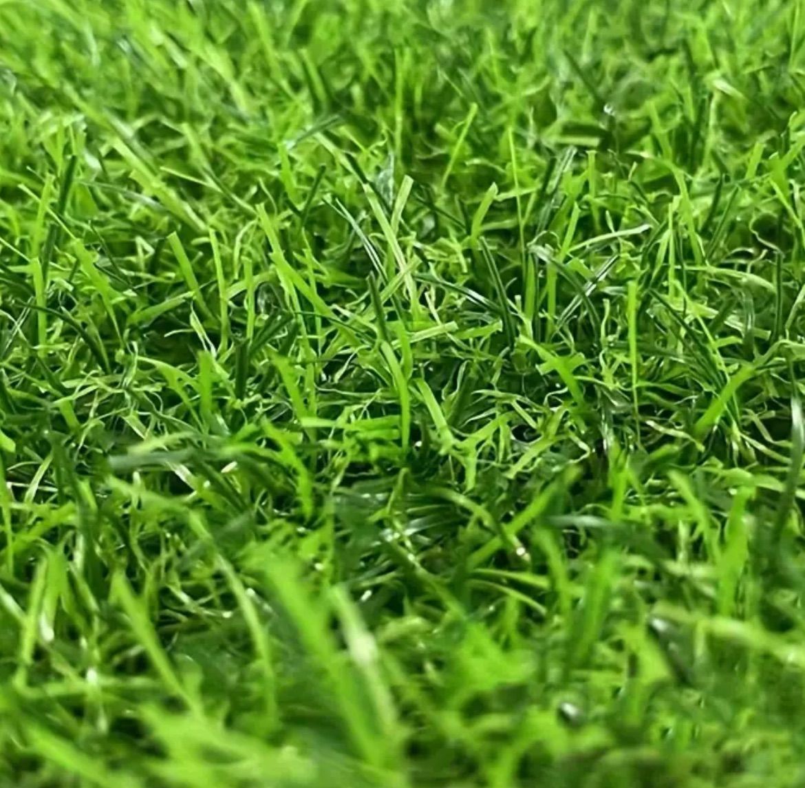 人工芝