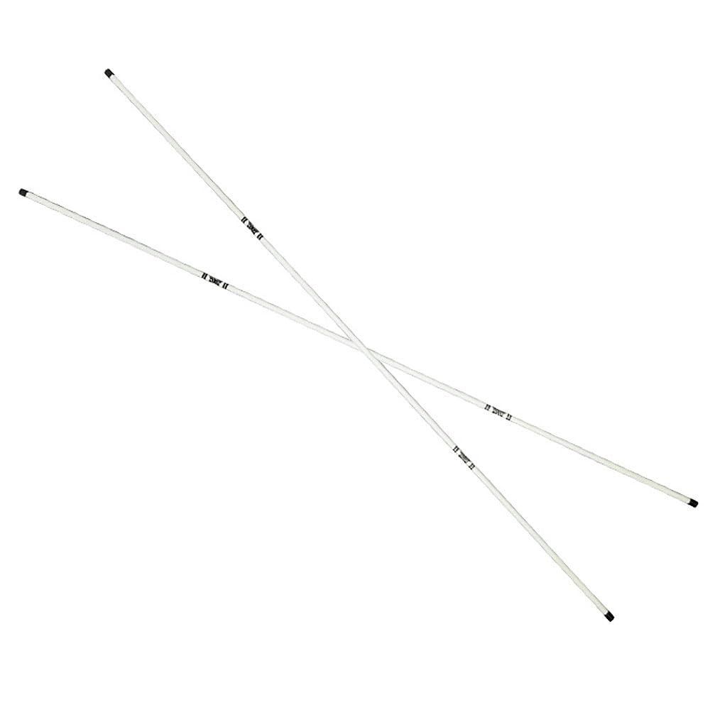 テンセイ アライメントスティック 2本 非売品 テンセイ アライメントスティック 2本 非売品 楽天市場