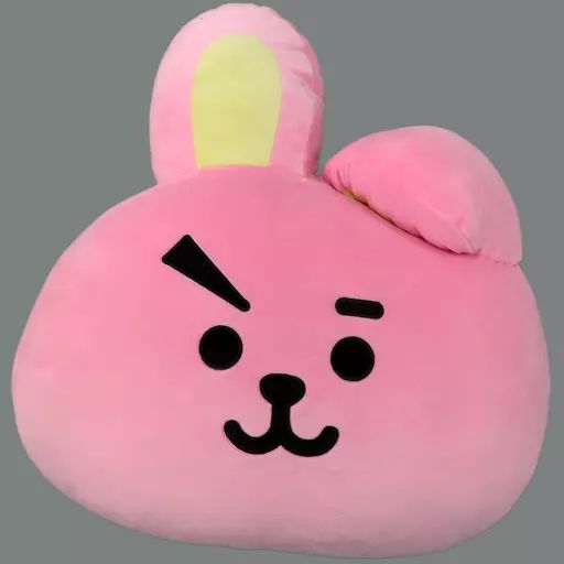 クッション・抱き枕・本体 COOKY(ジョングク) フェイスクッション