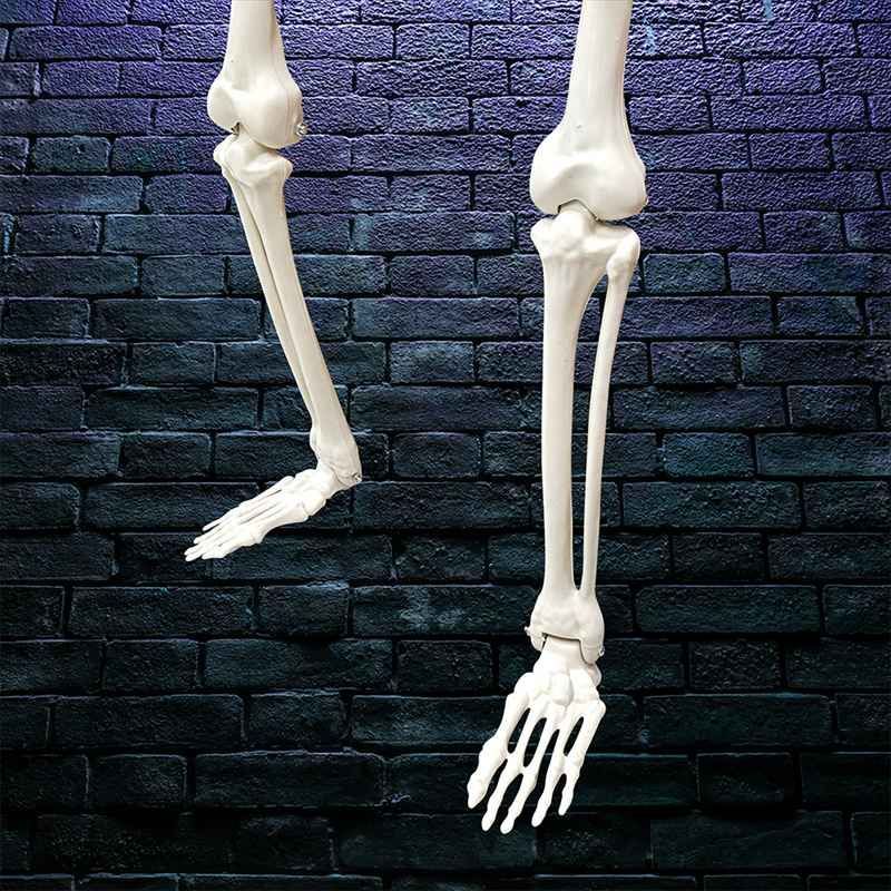 特大 ガイコツ ドクロ オブジェ 置物 155cm ドクロ 可動式