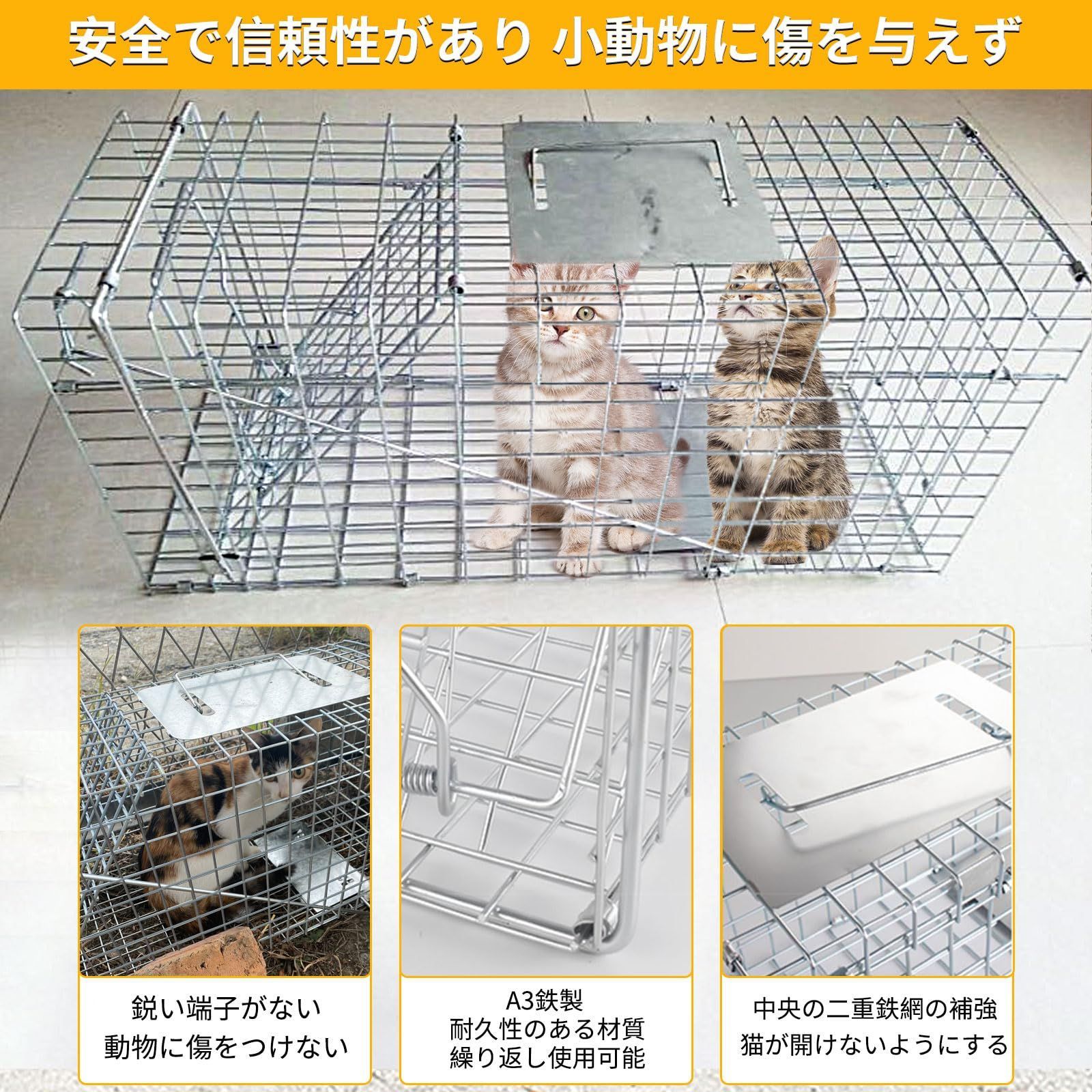 野良猫