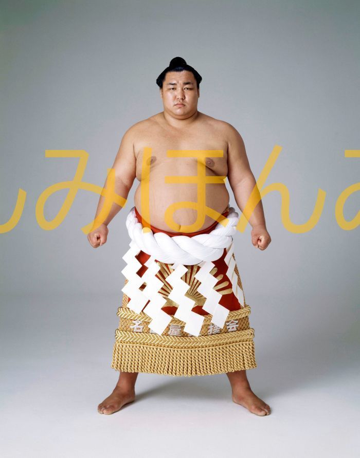 北の湖敏満関 優勝ミニ額 大相撲ミニ額 大相撲優勝額 昭和56年5月場所 優勝 横綱 北の湖敏満関(22回目の優勝) ※受注生産品のため、ご ...