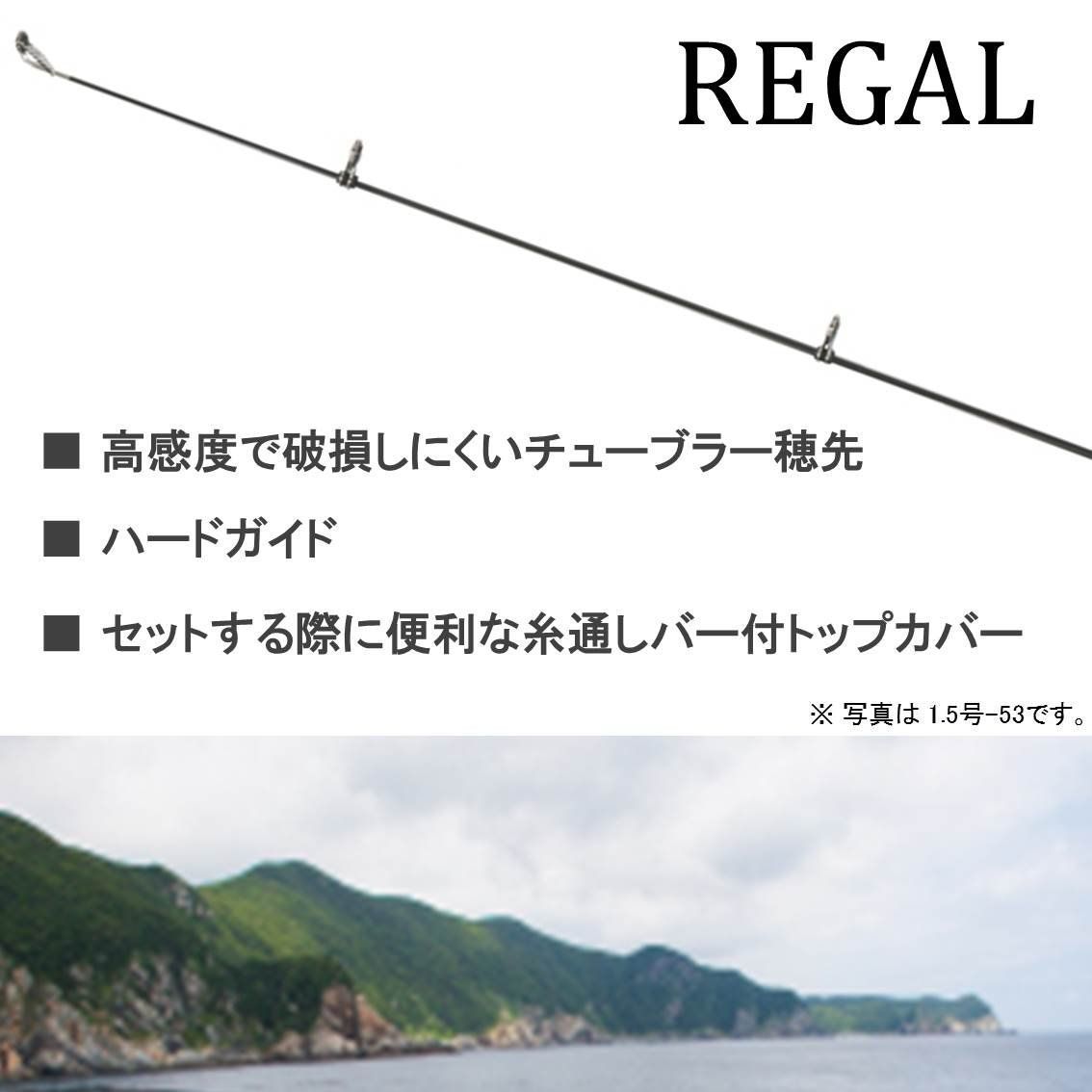 ダイワ(DAIWA) 磯竿 防波堤 リーガル 3~5号 遠投 - ロッド・アクセサリ