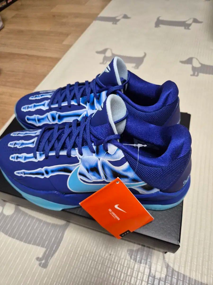 ロイヤル ブルー