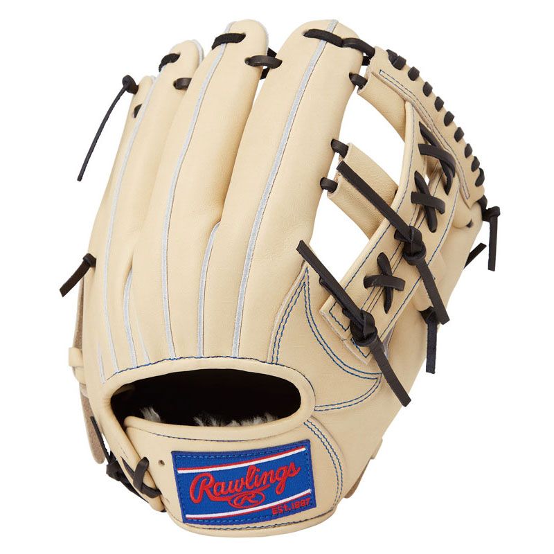 Rawlings 軟式グローブ N54FS オーダーグラブ 限定レザーラベル
