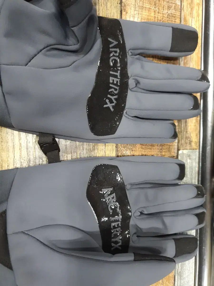  Arc teryx アークテリクス IGNIS GLOVE 手袋 手袋 小物