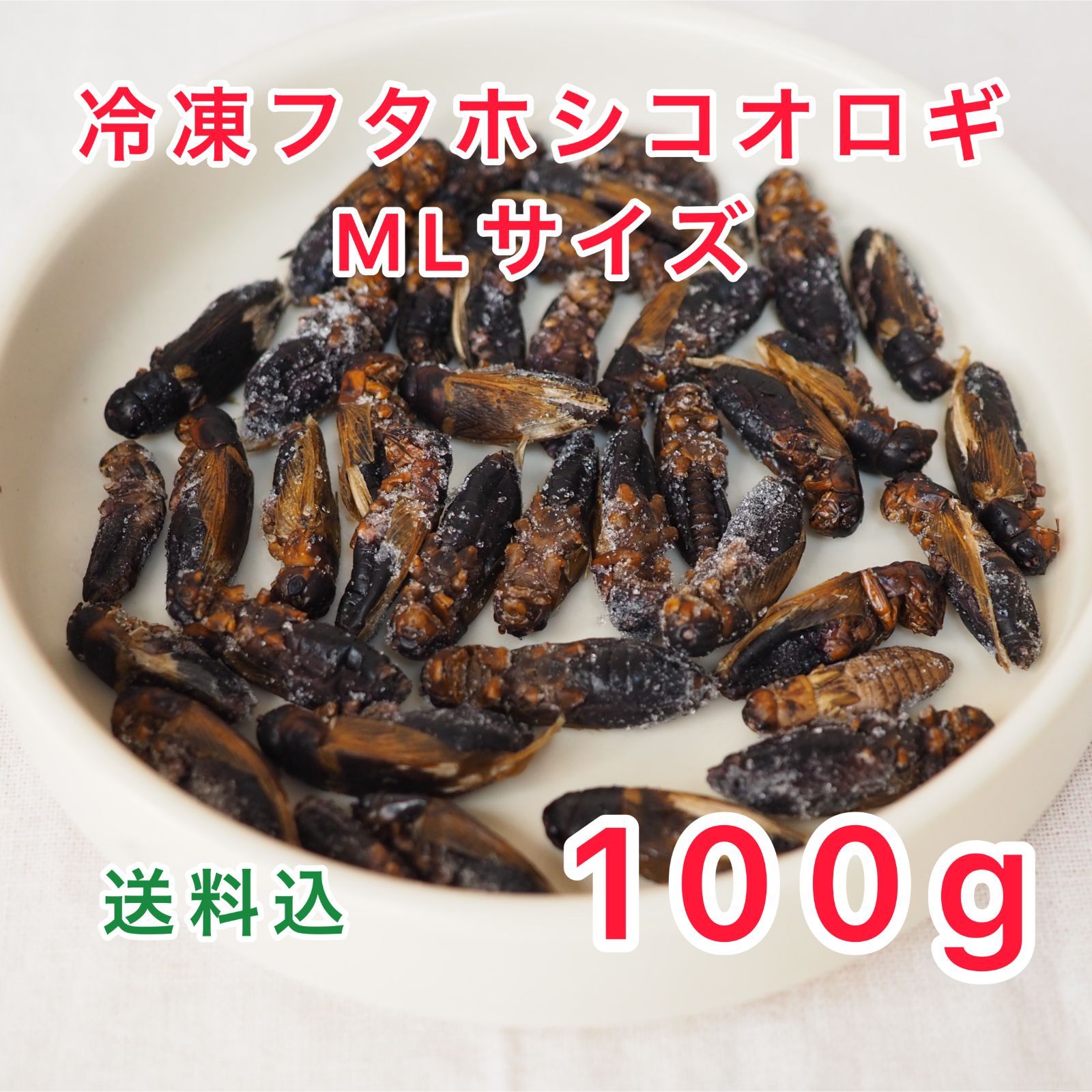 1160円四国中国関西2.1kg 冷凍コオロギ MLサイズ クロコオロギ